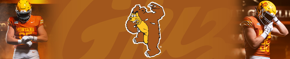 1995 30th Anniversary Auction banner image