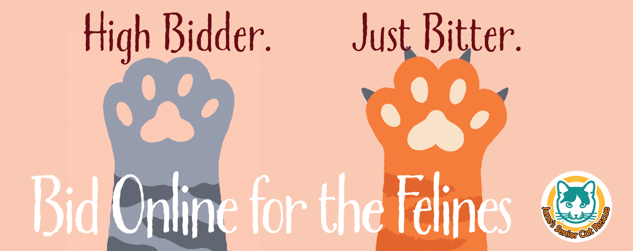 Bid Online for the Felines banner image