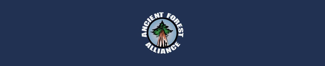 AFA Virtual Year-End Silent Auction banner image