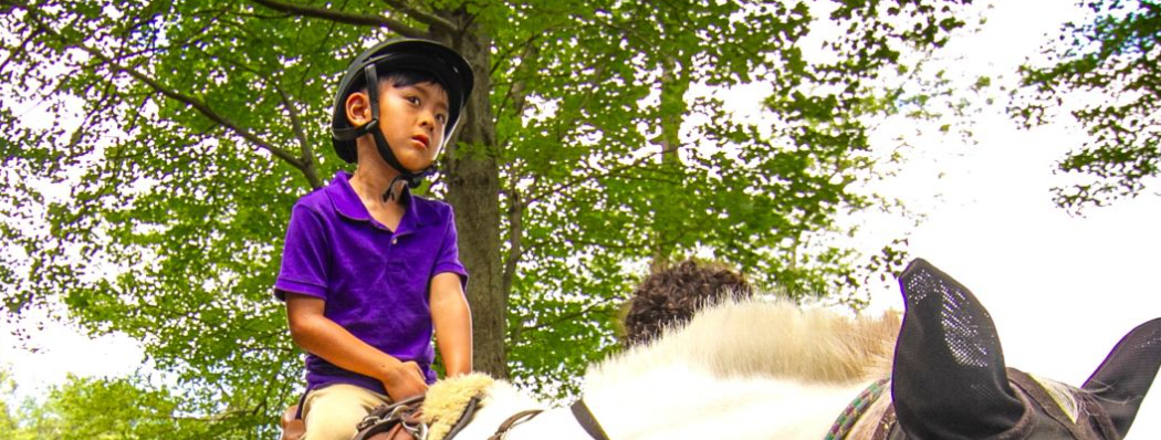 Little Britches' Strides to Thrive Virtual Auction banner image