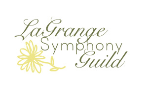 The Painted Strings Project banner image