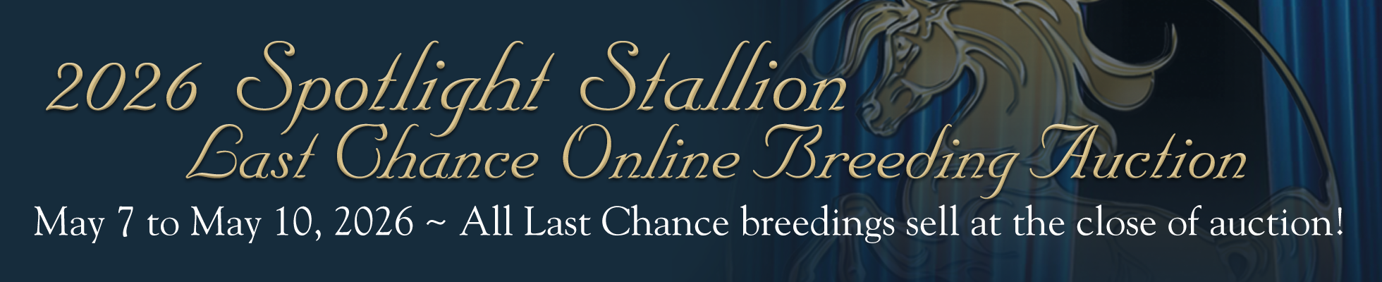 2026 Spotlight Last Chance Breeding Auction banner image
