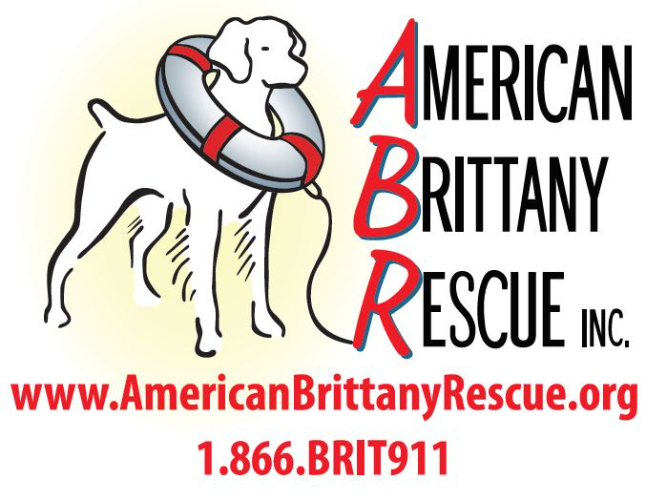 ABR "Bark Art" Auction banner image