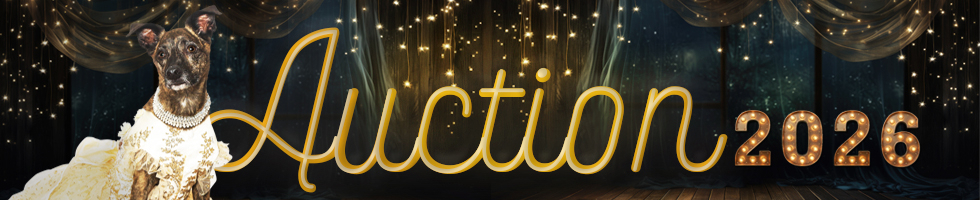 2026 Pin Up Paws Auction banner image