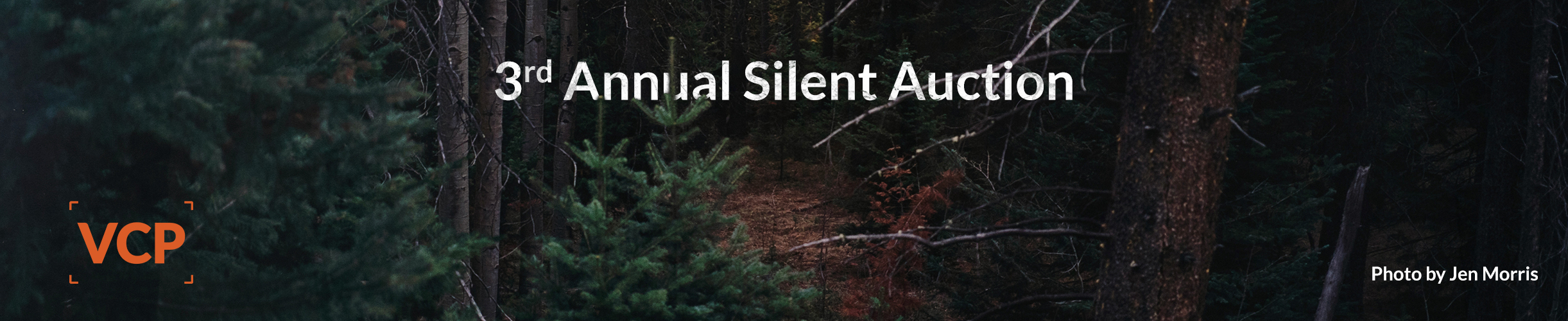 VCP's 3rd Annual Silent Auction banner image