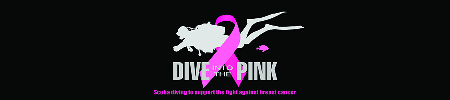 Dive into the Pink 2016 Auction banner image