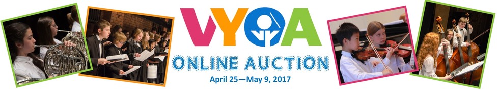VYOA Online Auction 2017 banner image