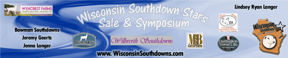 Southdown Stars Sale 2017 banner image