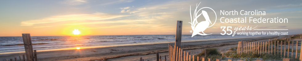 Pelican Awards & Soundside Soiree 2017 auction banner image