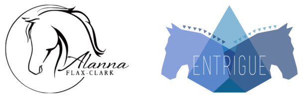 Alanna Flax-Clark: Para Dressage Rider banner image