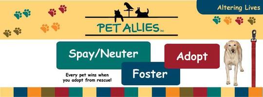Save the Ferals and their Kittens banner image