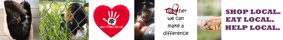 Help Ottawa Fur Kids Online Auction 2018 banner image