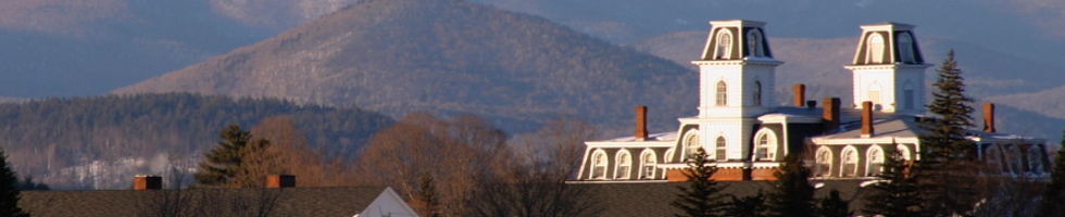 VCFA Auction 2018 banner image
