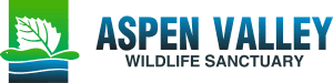 Summer Fundraiser Online Auction banner image