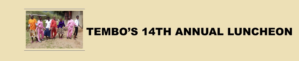 TEMBO’s Online Auction! banner image