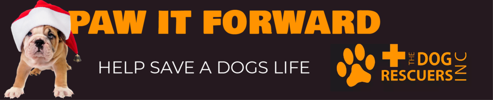 Paw It Forward banner image