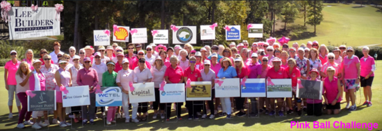 WSG9 Pink Ball Challenge / BCRF