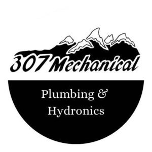 307 Mechanical