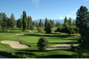 Four 18-Hole Rounds of Golf