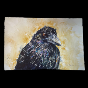 The Mischievous Raven