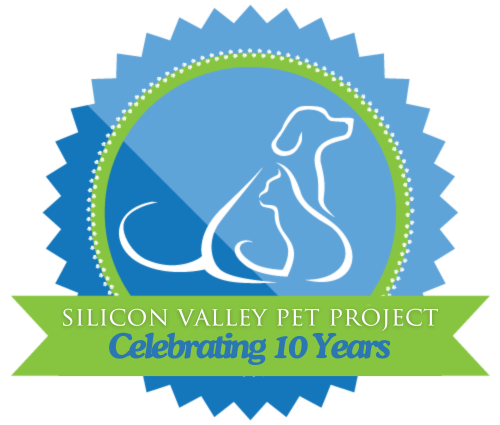 Silicon Valley Pet Project