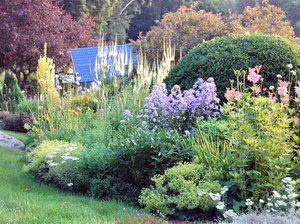 $100 Green Reaper Perennial Plant Gift Certif #1