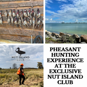Pheasant Hunting Experience at the Nut Island Club