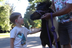 Be a Fairytale Town Animal Keeper for a Day #1