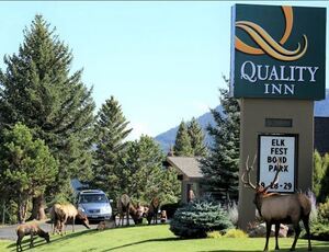 2 Nights Stay at Quality Inn  + 6 ride Mtn Coaster