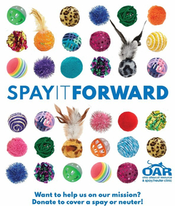 100 : Spay It Forward