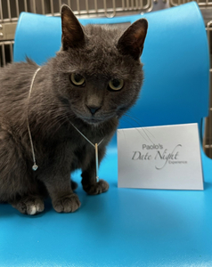 113: Paolo's Date Night Package #1