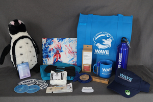 124: WAVE Foundation Basket