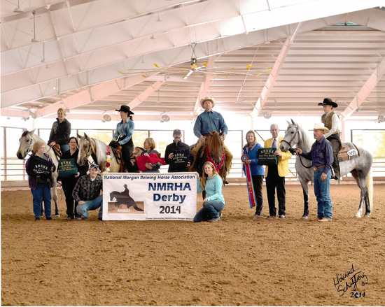 National Morgan Reining Horse Association