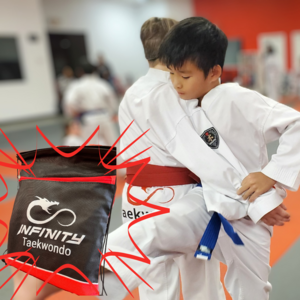 Full Taekwondo Experience