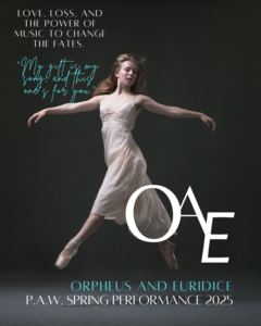 OAE VIP Experience