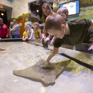Mississippi River Museum and Aquarium - 2 Tix