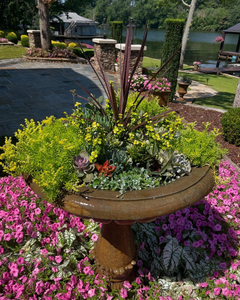 White Pine Landscaping Gift Certificate
