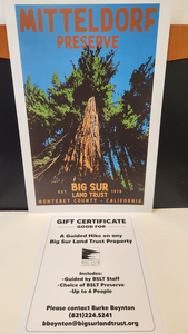 Guided Big Sur Land Trust Hike for 6