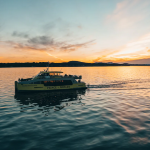 Prince of Whales Sunset Whale Watching Tour for 2