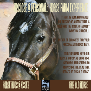 Up Close & Personal: Horse Farm Experience