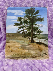 Peaceful Scenery Painting