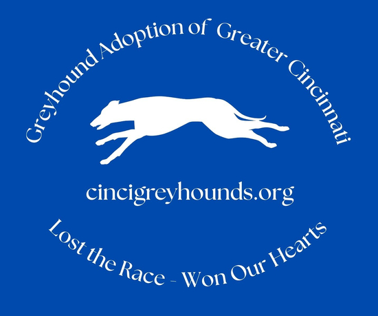 Greyhound Adoption of Greater Cincinnati