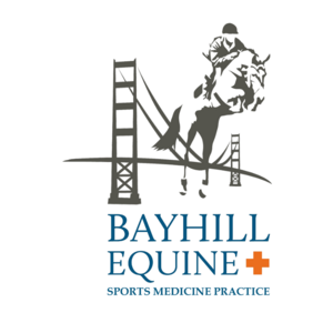 Bayhill Equine