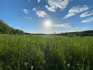 Support Future Dane County Land Fund Opportunities