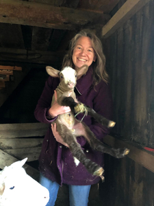 Character in a Novel