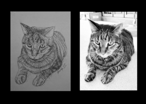 Black & White Stippling Pet Portrait