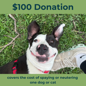 4 - $100 Donation To Northwoods Humane Society