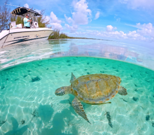 Cay Witness Charters 4-hour tour