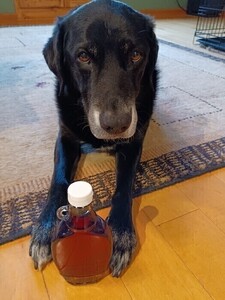 Locally Sourced Maple Syrup - Made By Animal Lover