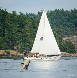 #18: Full Day Sail for 2 with All Aboard Sailing